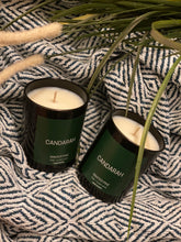 Load image into Gallery viewer, WINTER PINE